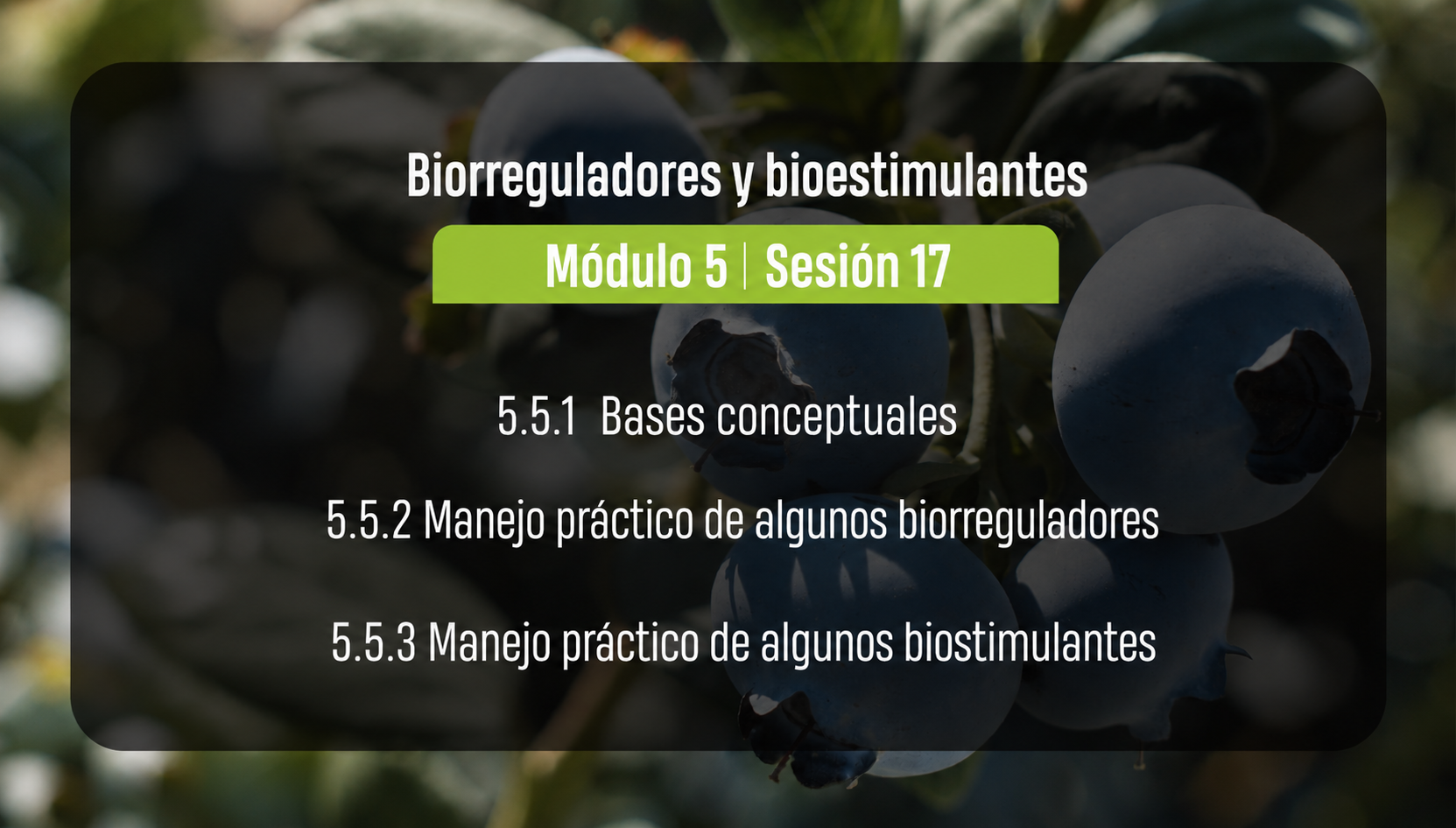 Biorreguladores y bioestimulantes