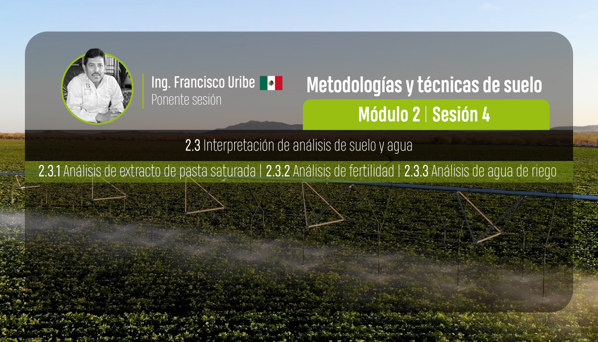Suelo, raíz y bioestimulación vegetal