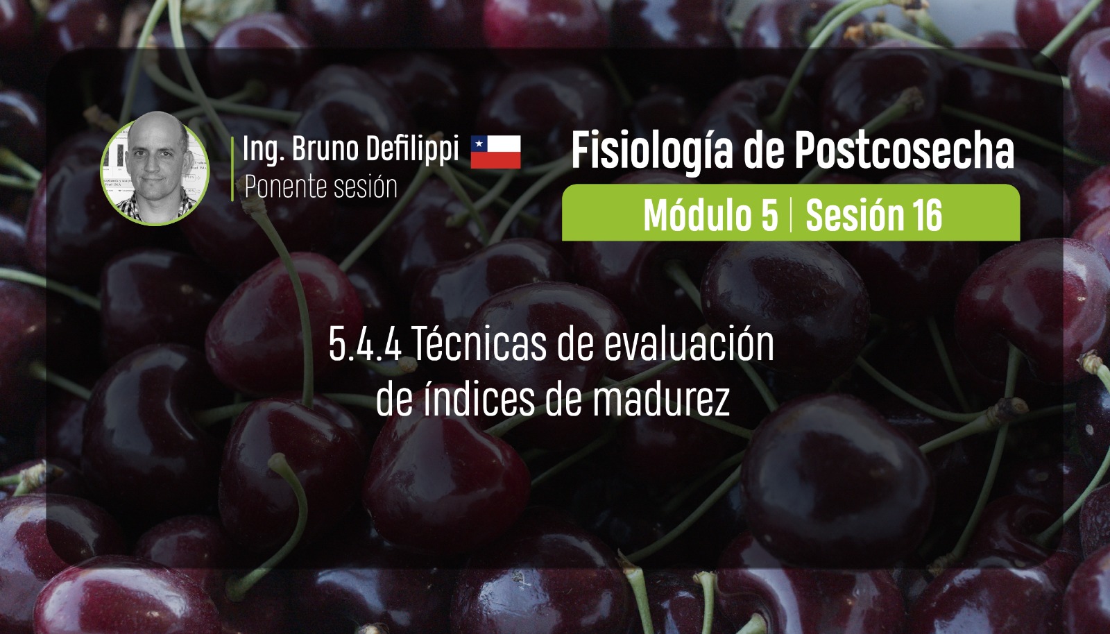 Fisiología de postcosecha (Segunda parte)